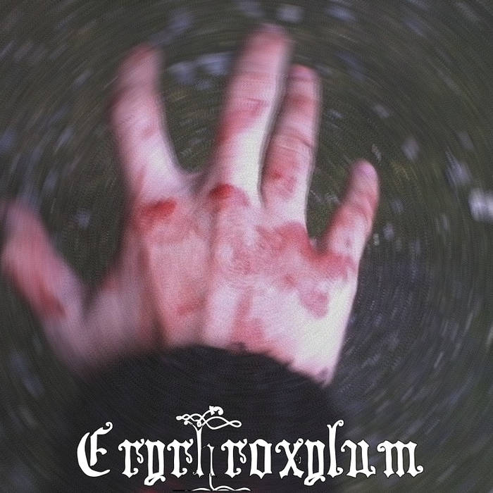 C17H21NO4 Erythroxylum