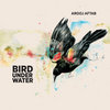 Bird Under Water Cover Art