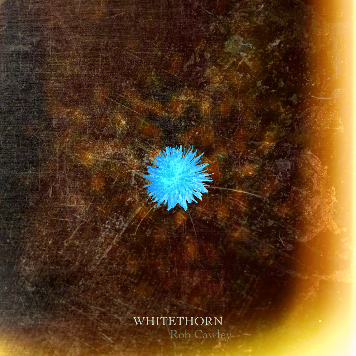 Whitethorn cover