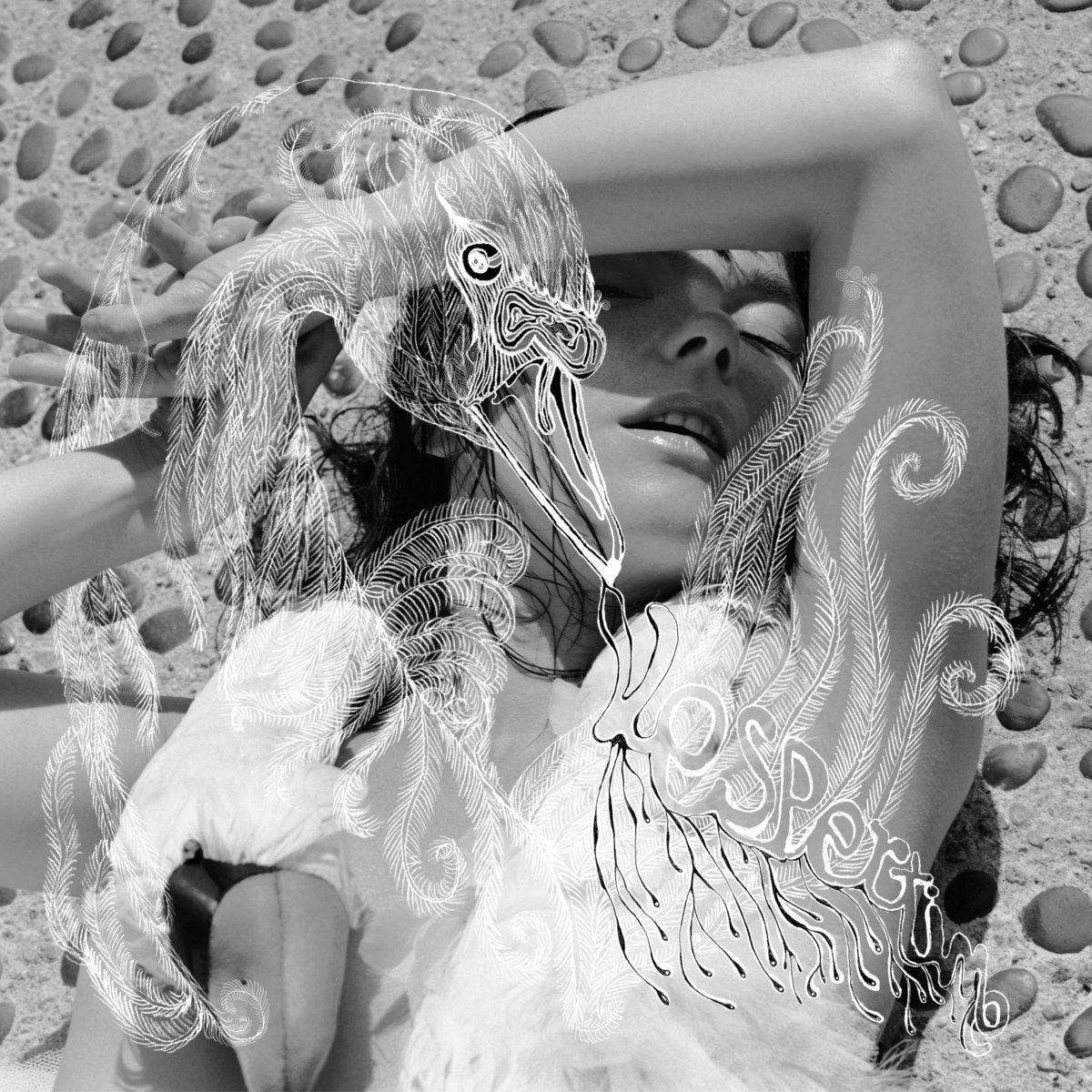 ビョーク ポスター Vespertine Bjork BJORK Björk Vespertine Happy Place New original Vintage UK