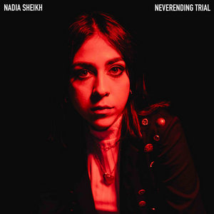 Neverending Trial cover