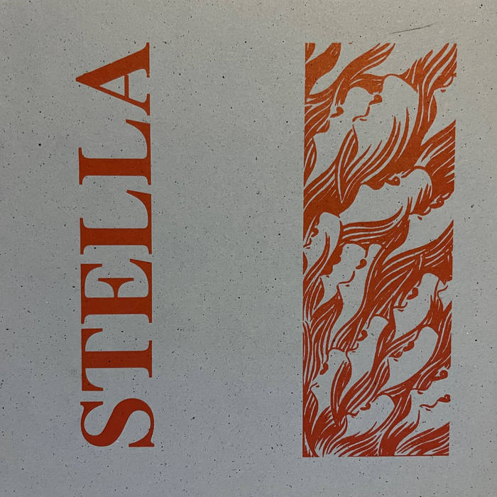 その他 Stella stella | stella