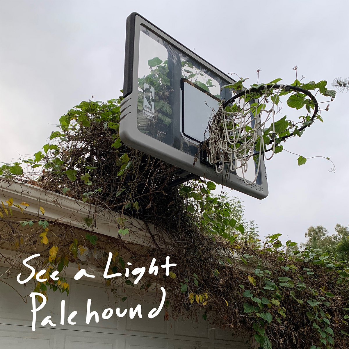 See A Light Palehound