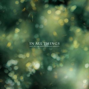 In All ThingsSalt of the Sound & Dear Gravity cover