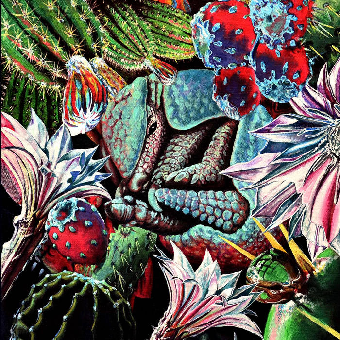 CACTUS ROCK- lp | Atacama Records | Armadillo Cactus