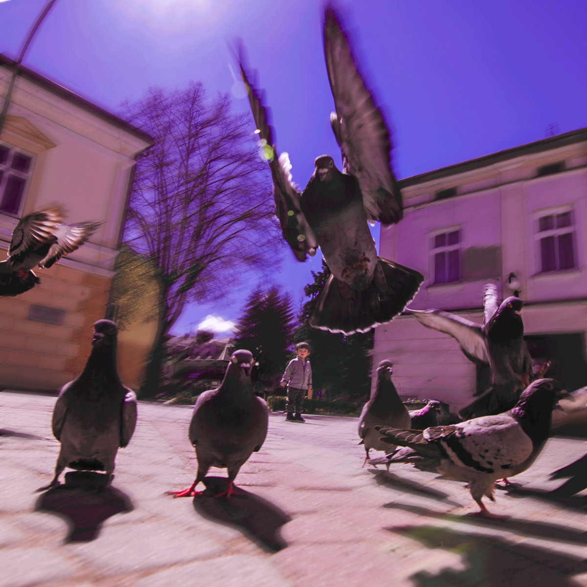 Pustka | Pusta Przestrzeń
