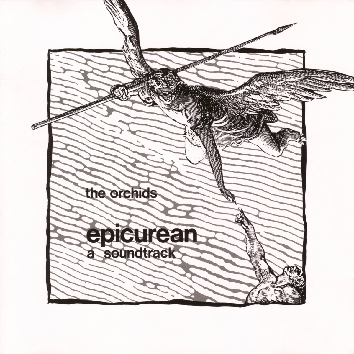 Epicurean | The Orchids