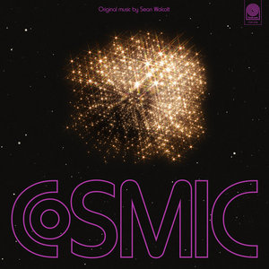 Sean Wolcott — Cosmic Consciousness