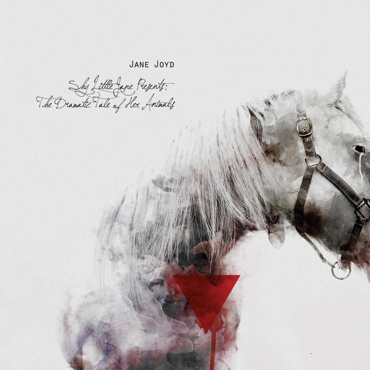 Heartless Horse The Disappearing Act Origami Records