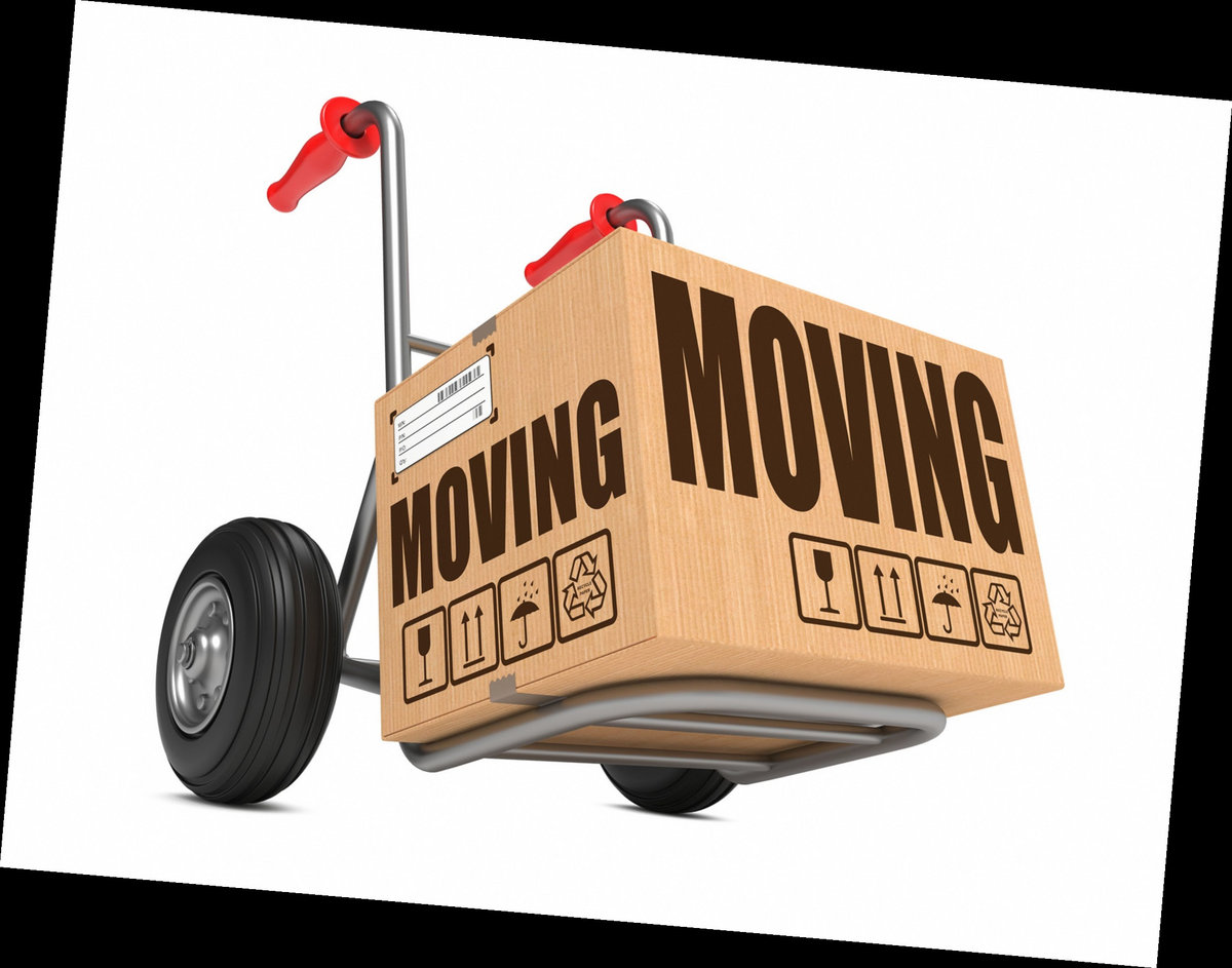 Types Carrier Mediated Transport That Moves In Associate PA Types