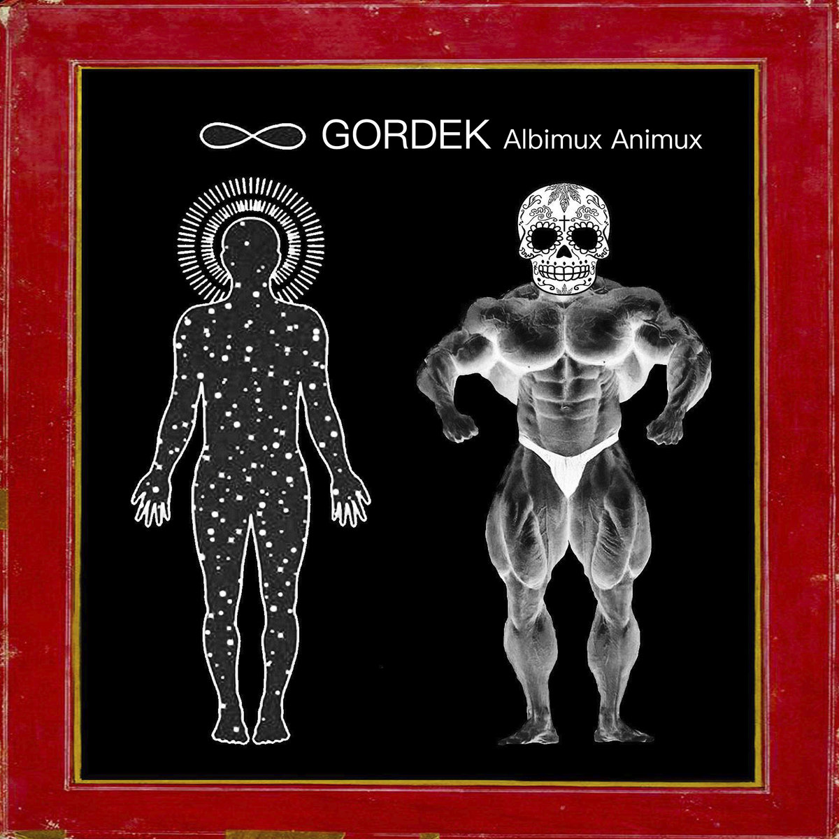 Albimux Animux | GORDEK | RDKPL