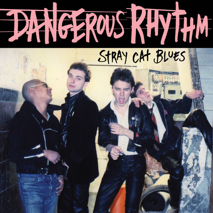 Stray Cat Blues | Dangerous Rhythm | Munster Records