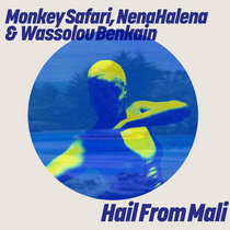 Monkey Safari, NenaHalena, Wassolou Benkain — Monkey Safari, NenaHalena, Wassolou Benkain - Hail From Mali