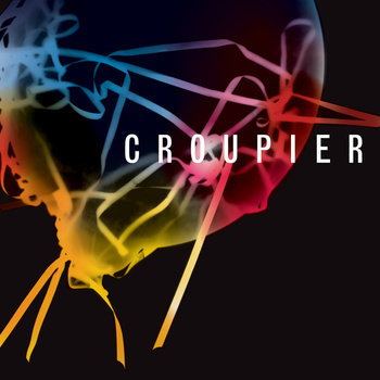 Croupier cover