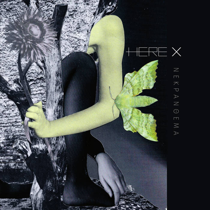 Nekranthema | HERE X | Digital World Audio