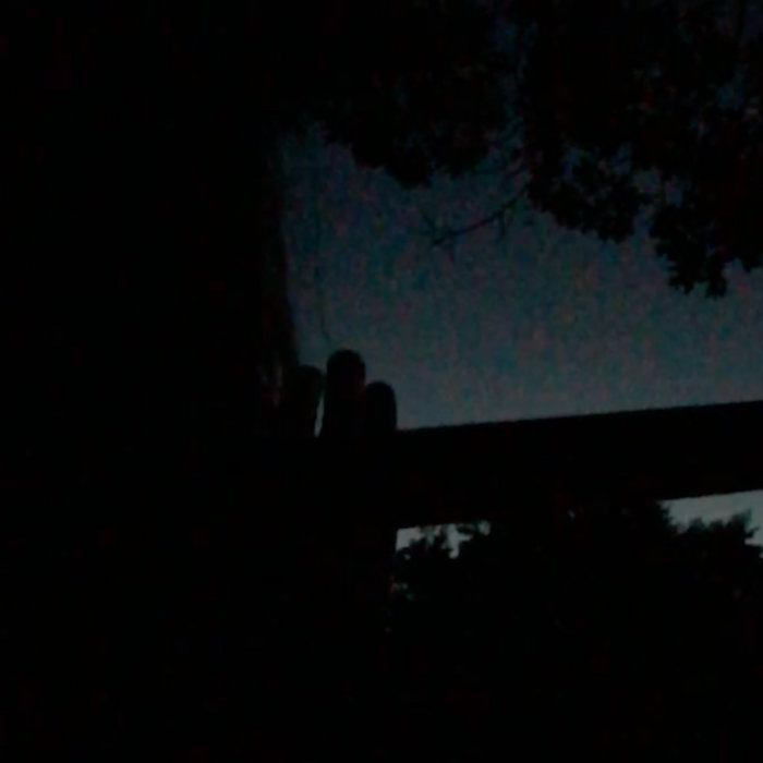 Joni Mitchell Night Ride Home