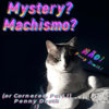 Mystery?  Machismo?  Não!  Penny Death! (Or Cornered, Pt. I) Cover Art