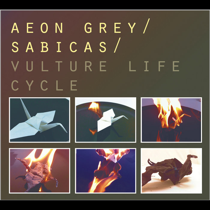 Vulture Life Cycle Aeon Grey Sabicas Central Standard