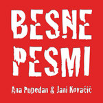 BESNE PESMI