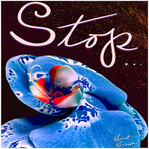 Stop cover