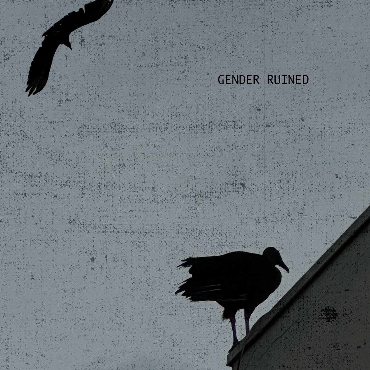GENDER RUINED | ZXNX, Violeta 44 | ZXNX