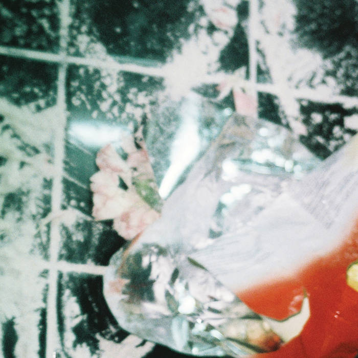 SHULULULU | SHXCXCHCXSH