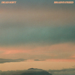 Brain's Fried cover