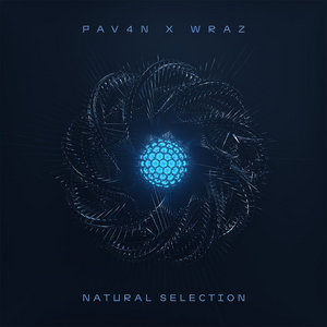 Natural SelectionPAV4N, Wraz. cover