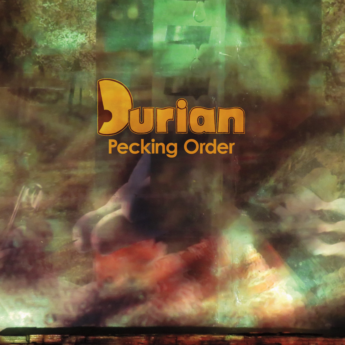 Pecking Order | Durian