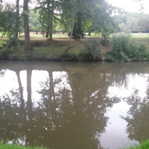 Focis Right - Birth (Something Foreign) LP cover art