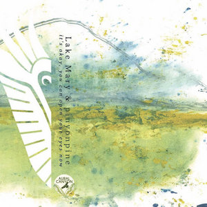 it's okay, you can open your eyes nowLake Mary & Pinyonpine cover