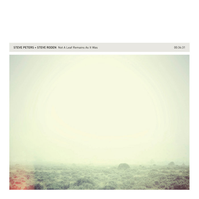 Not A Leaf Remains As It Was | Steve Peters & Steve Roden | 12k