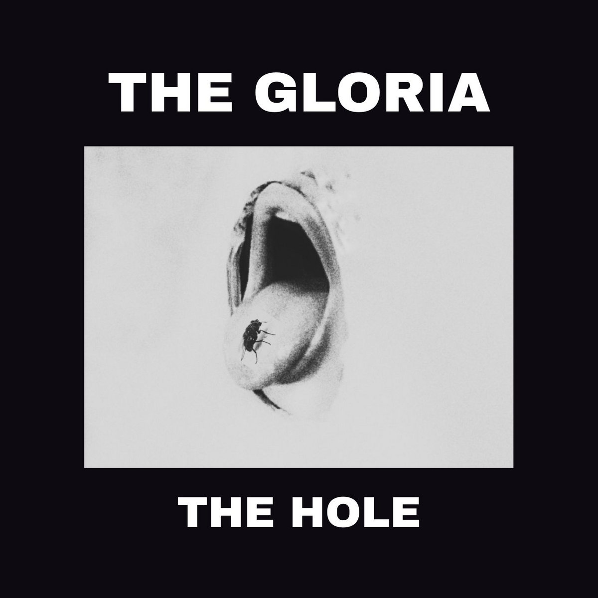 THE HOLE | THE GLORIA