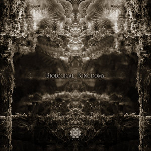Animalia + Names of the Kingdoms cover