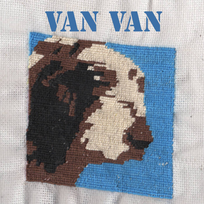 Meute De Chat Grace Et Volupte Van Van