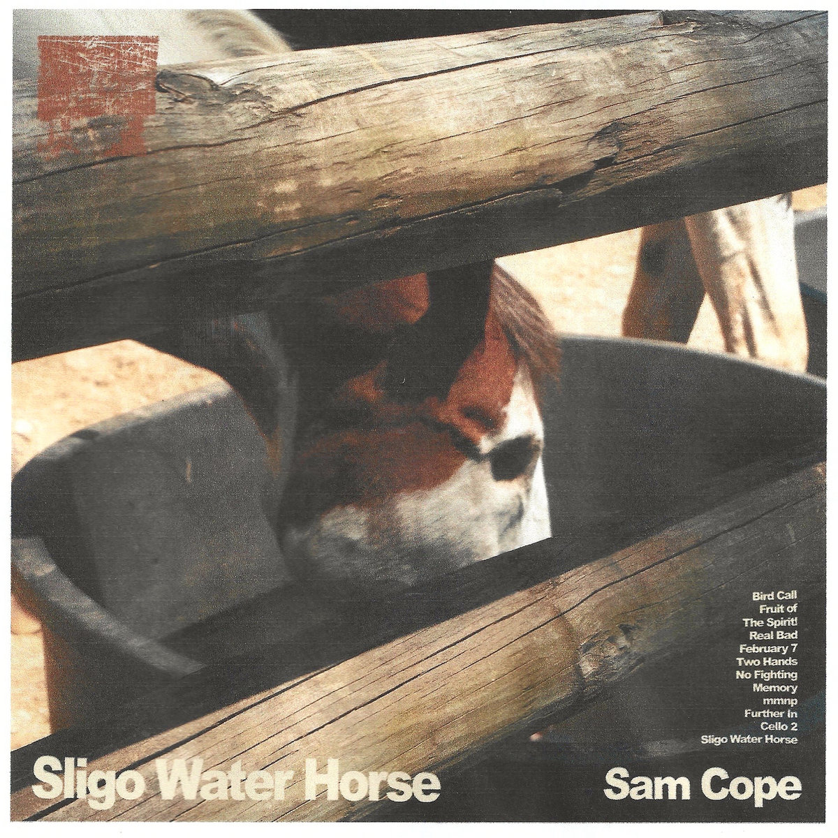 Sligo Water Horse by Sam Cope