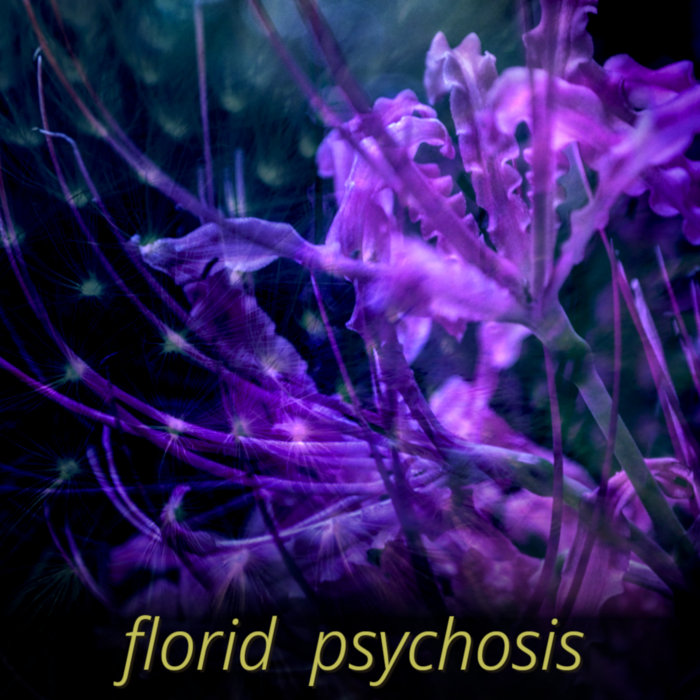 Florid Psychosis Florid Psychosis