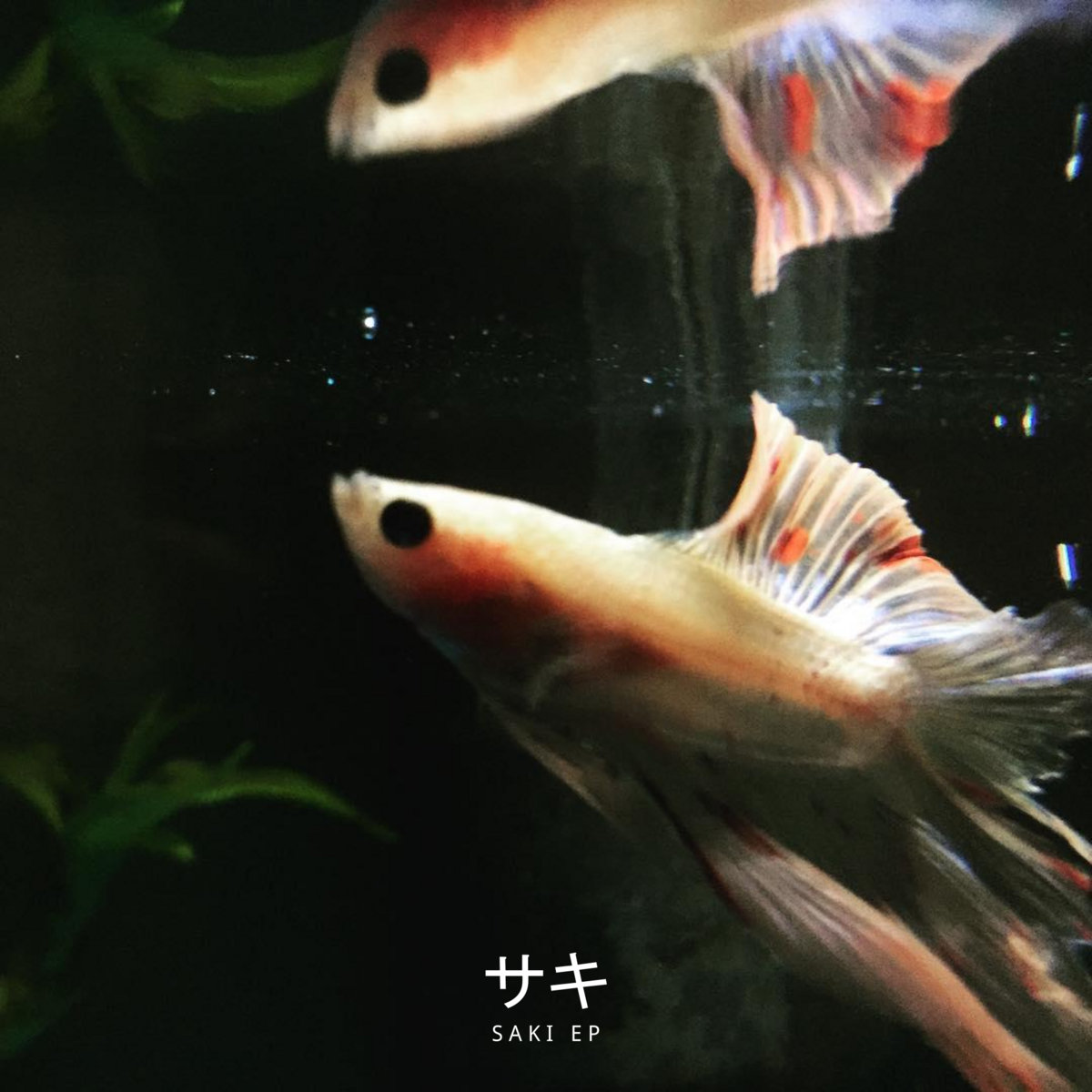 魚夢永遠  s a k i 夢