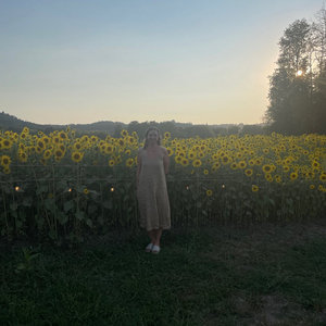 Sunflower cover