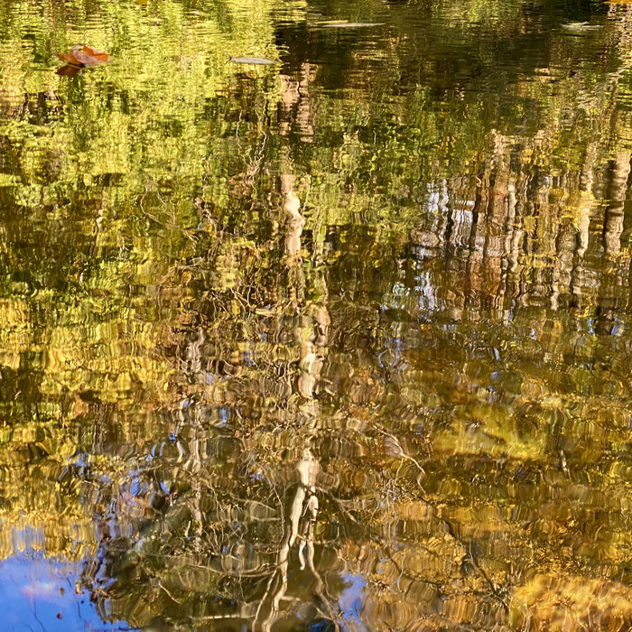 Riversong (Memorial Potamology) A.S. Coomer