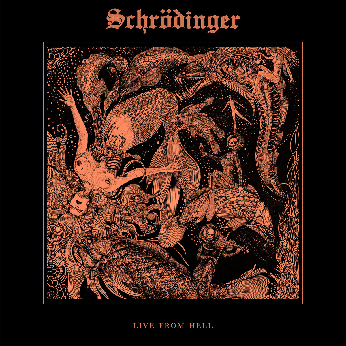 Live From Hell | Schrödinger | SwissDarkNights Label