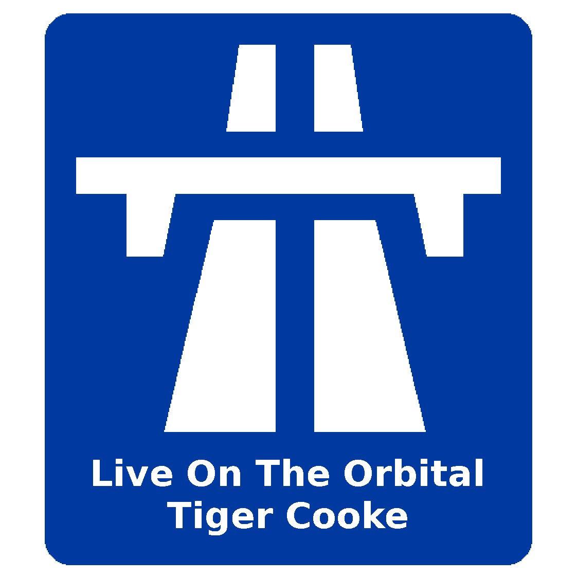 Live on the Orbital cover