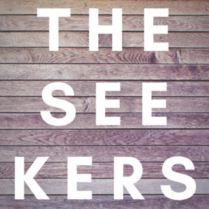 The Seekers — No Place to Fall
