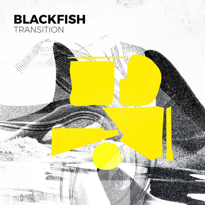Transition Blackfish blackfish productions