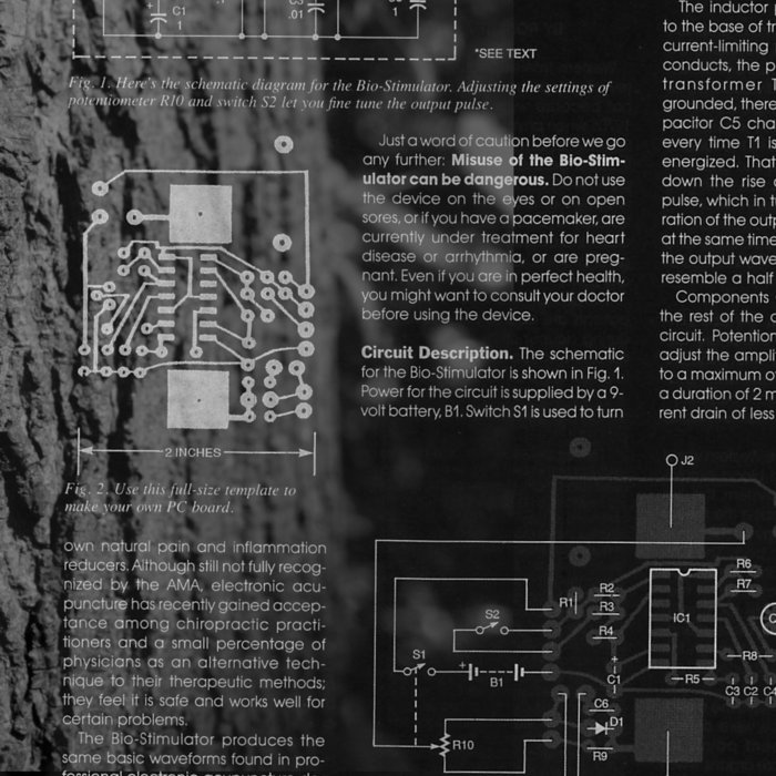 Forest Electronics | Richard Riggs