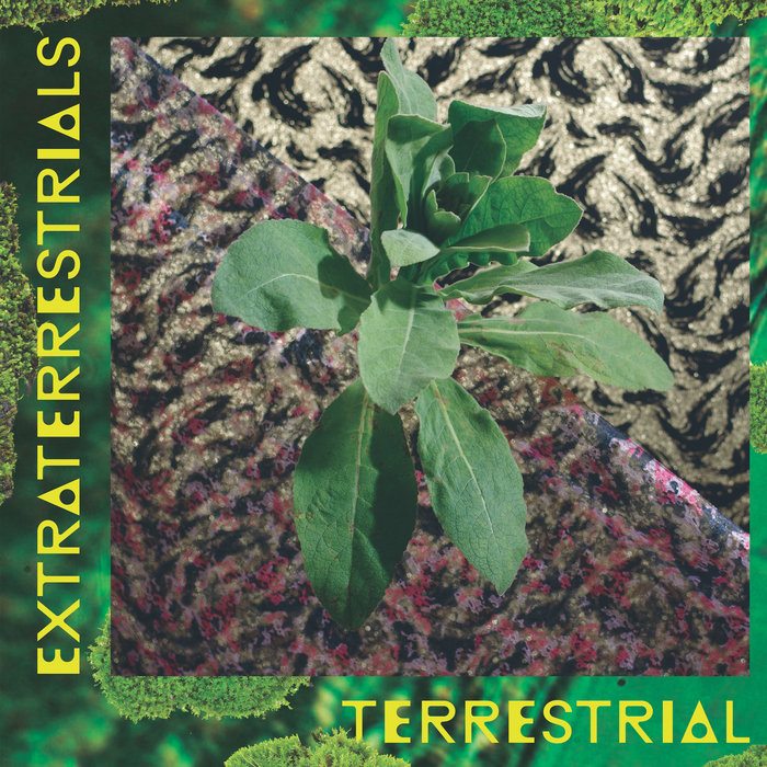 Terrestrial | Extraterrestrials