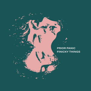 finicky things cover