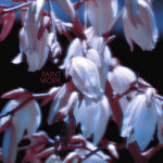Paint Work - Spring