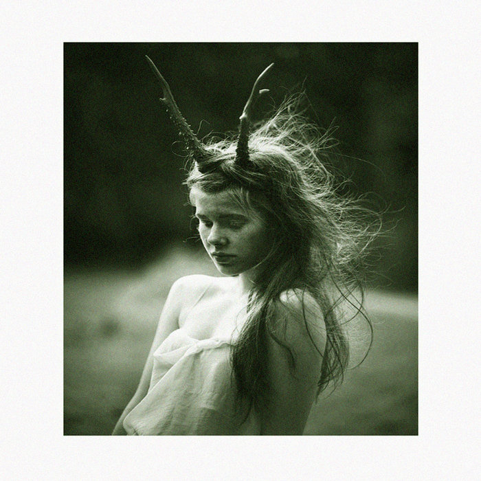 A Crying Into Desolation Meaning of Life