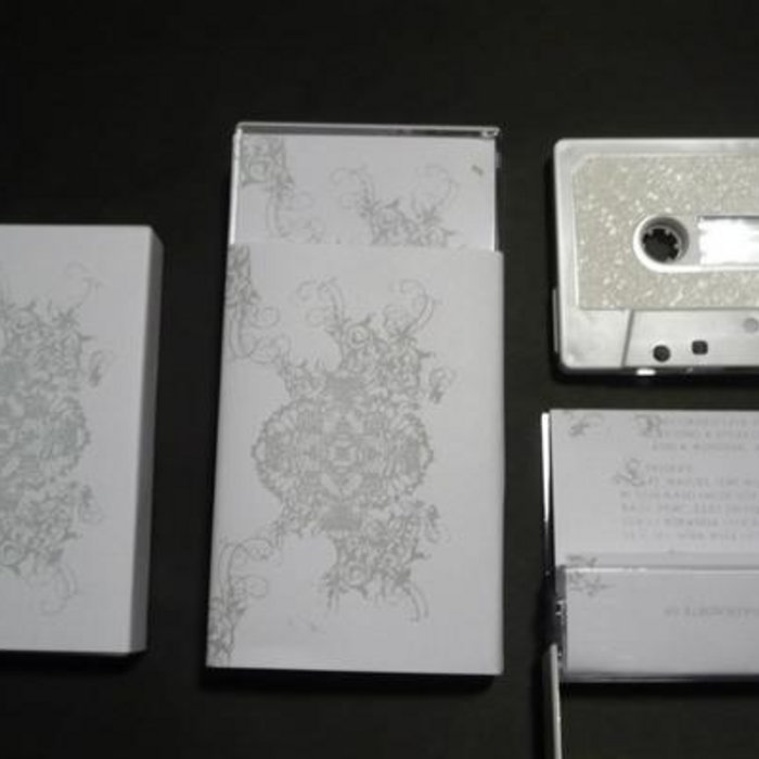 Ain t no party like a holy ghost party cassette loosers